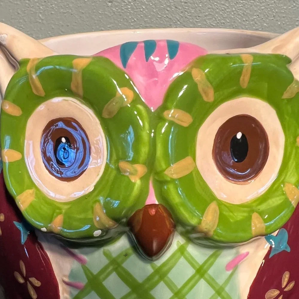 Pier 1 Imports Hand Painted Dolomite “Ollie the Owl” Large 3-D Mug ~ Planter